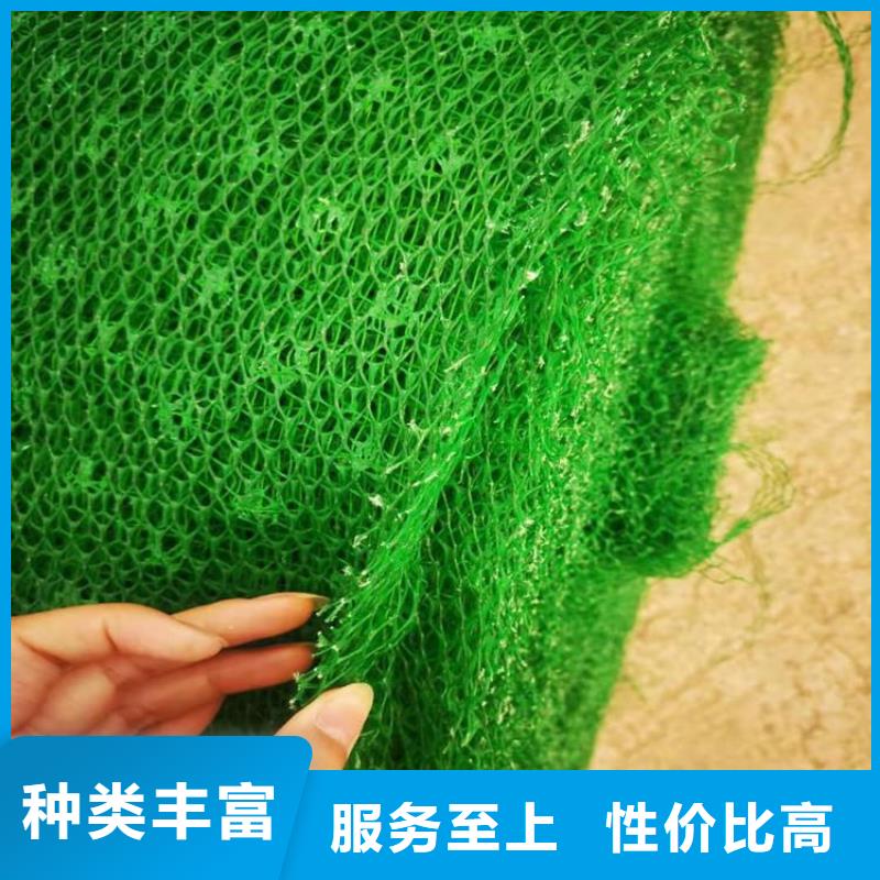 三维植被网植草格根据要求定制