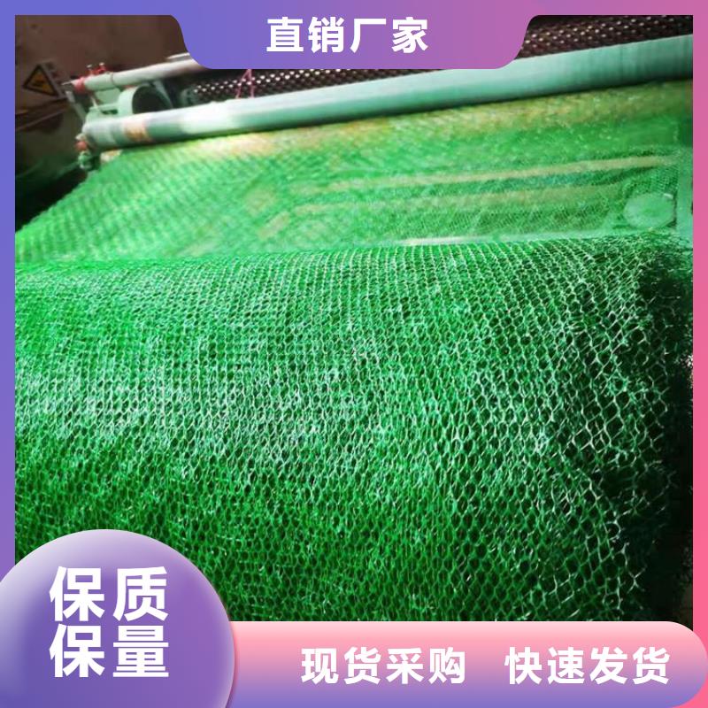 三维护坡加筋网垫厂家直供