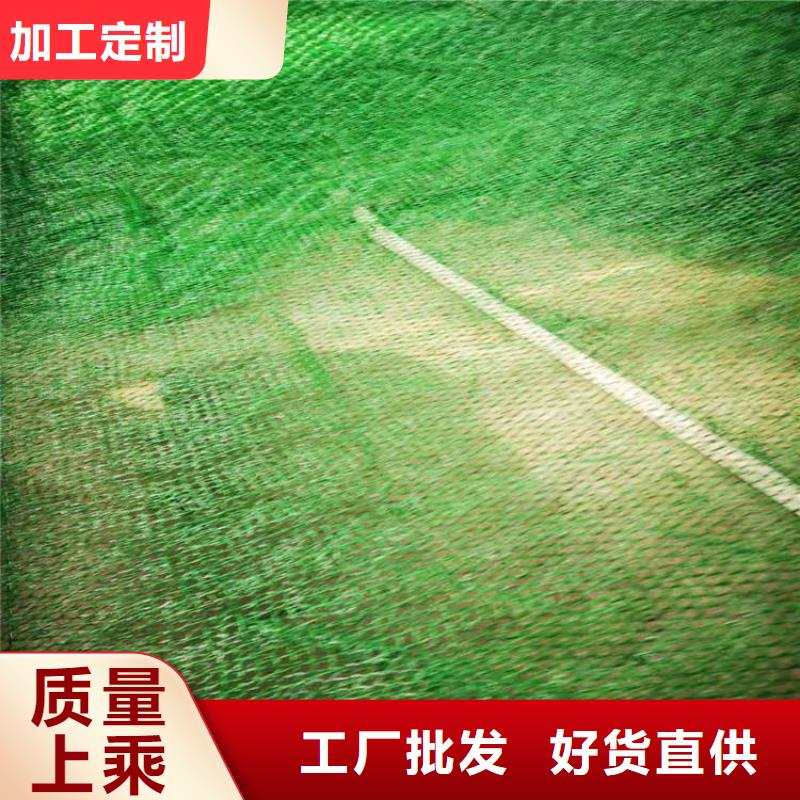防渗膜供应商【三维植被网】 防渗膜实力商家供货稳定