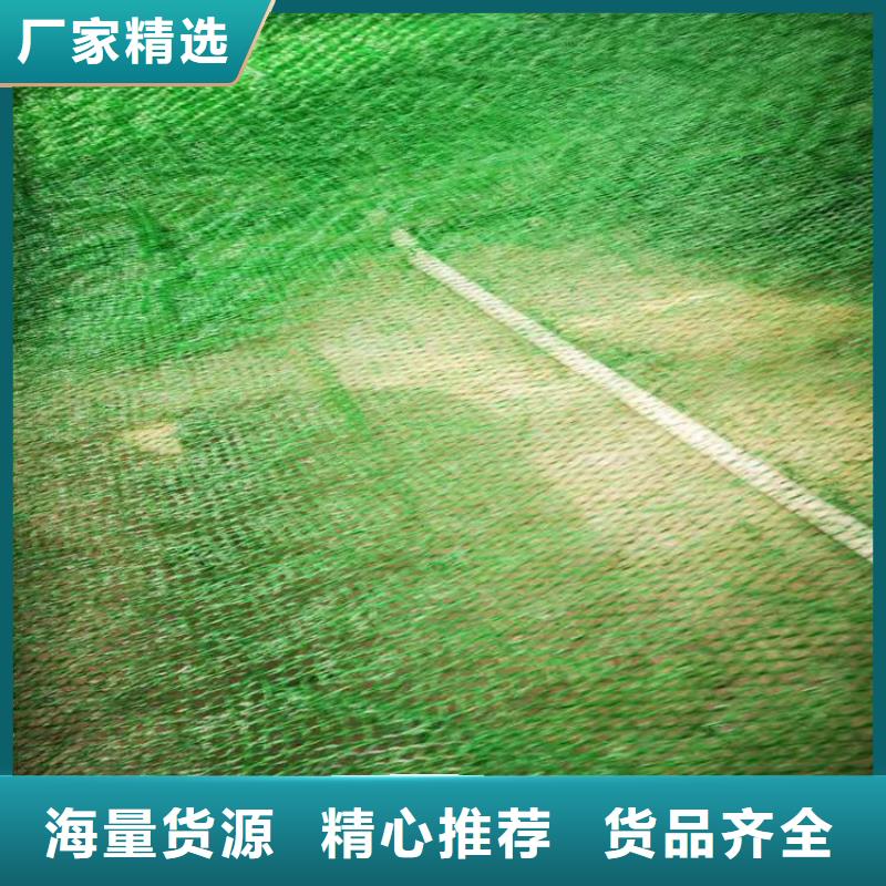 三維土工網墊-4層5層三維植被網