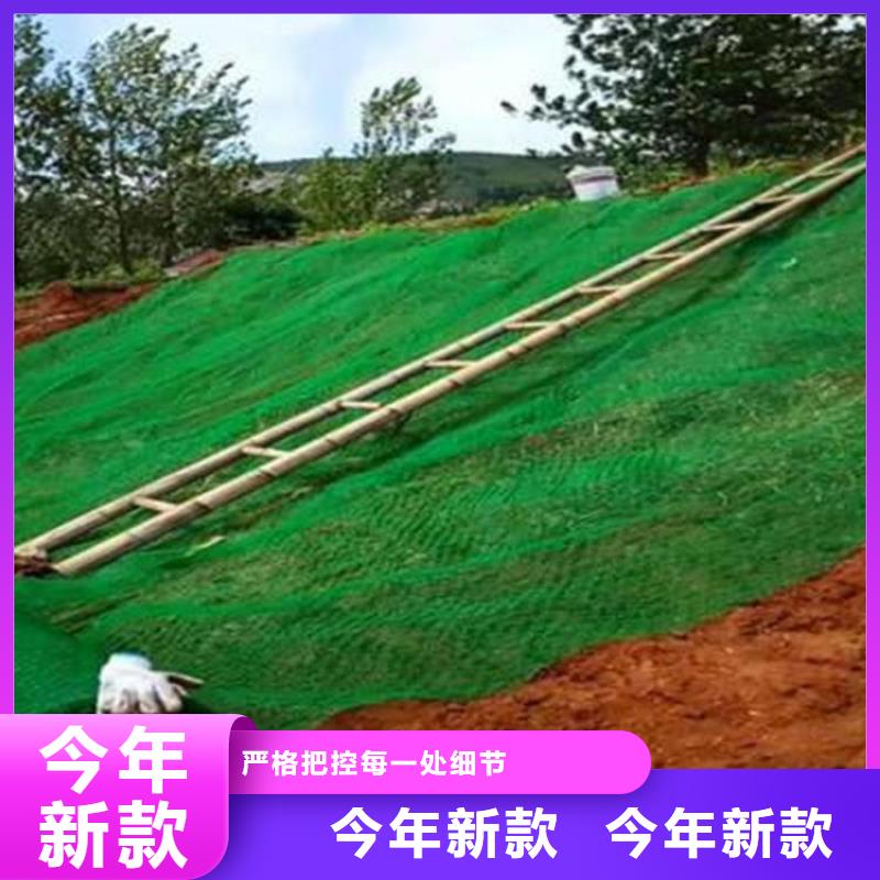 澄迈县塑料加筋三维土工网垫