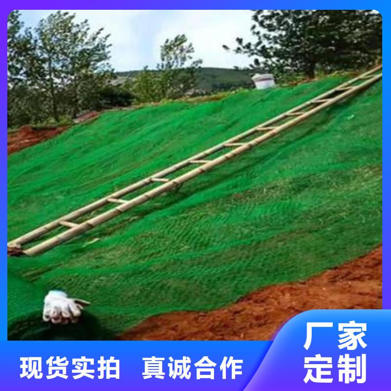 三维植被网【防裂贴】专注产品质量与服务