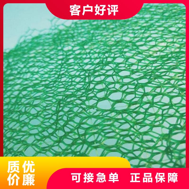三維植被網(wǎng)止水帶多行業(yè)適用