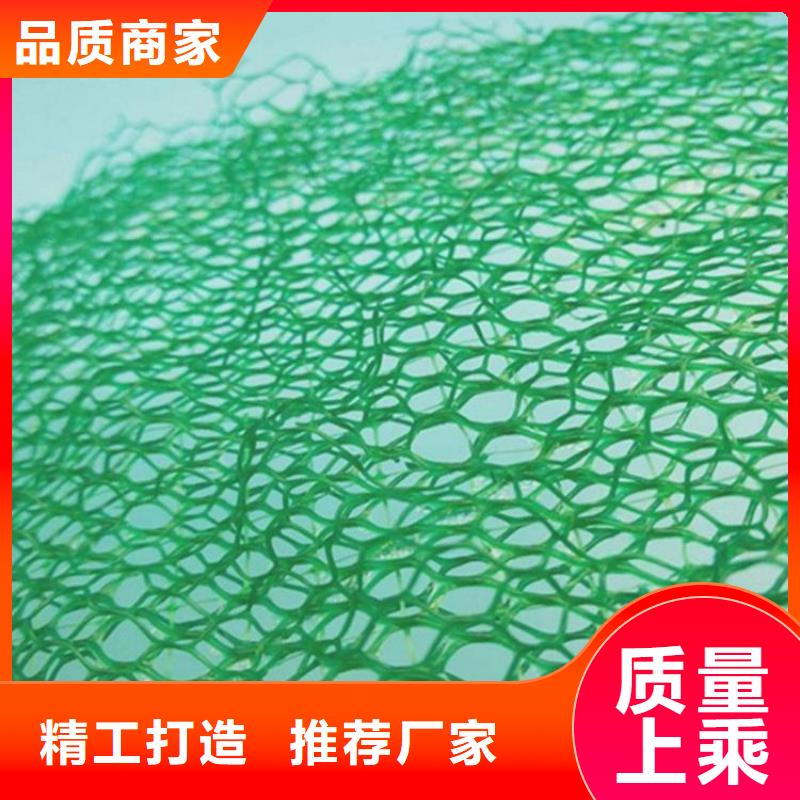 三维植被网土工膜专注产品质量与服务
