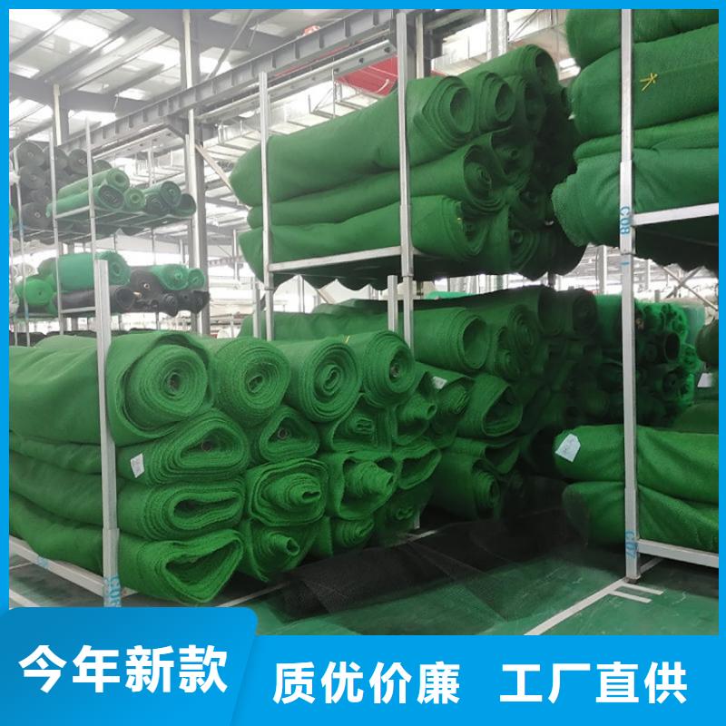 三维护坡加筋网垫厂家直供
