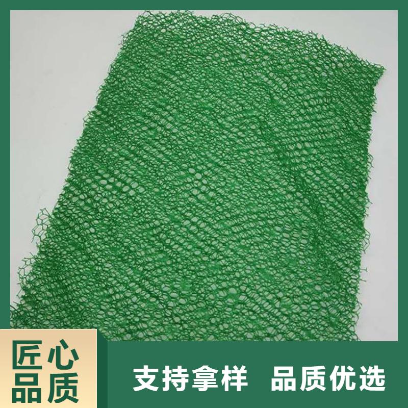 三维植被网植草格根据要求定制