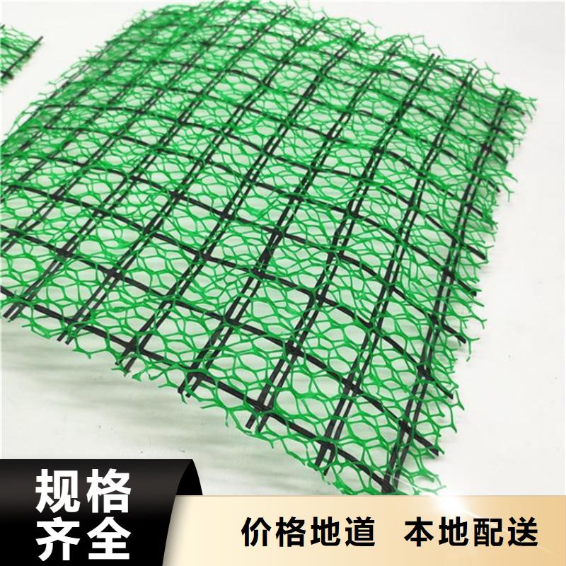 三維植被網止水帶多行業適用