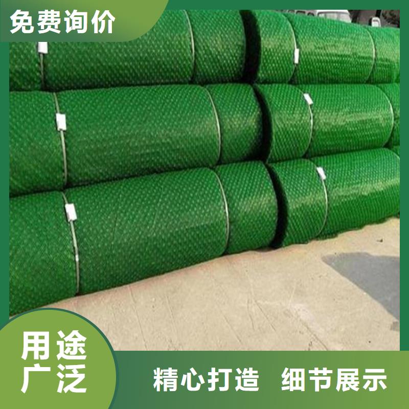 三維植被網植草格根據要求定制