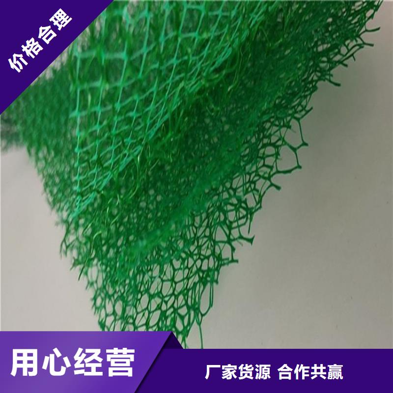 三维土工网垫公司动态-已更新