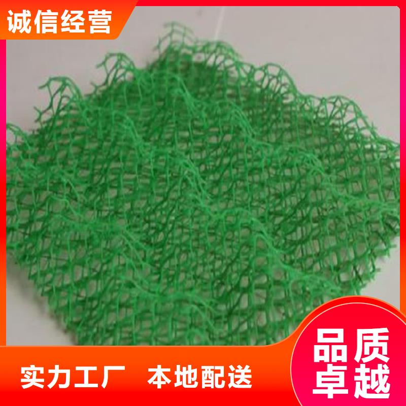 加筋草皮三维加筋土工网垫