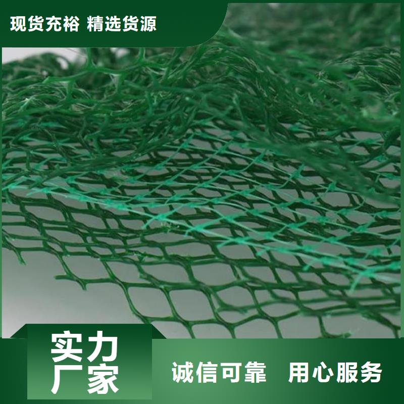 护坡加筋网垫-三维固土网垫