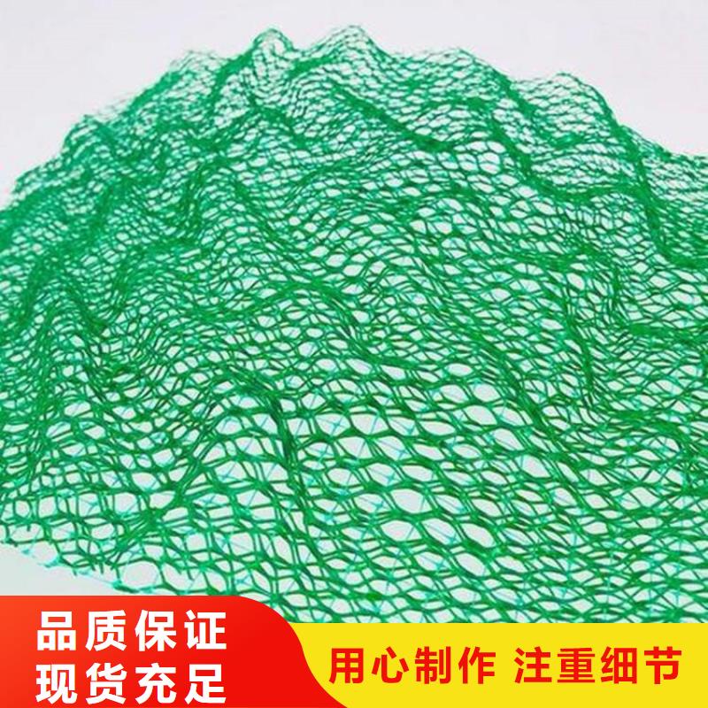三維植被網#EM4加筋