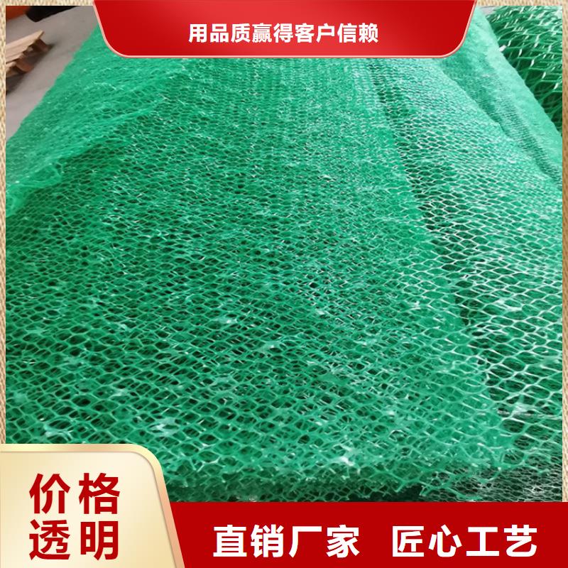 三维植被网植草格根据要求定制