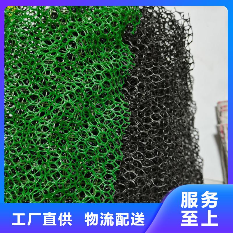 三维植被网止水带多行业适用