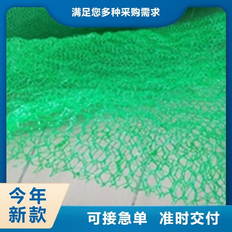 护坡加筋网垫-2层3层三维植被网