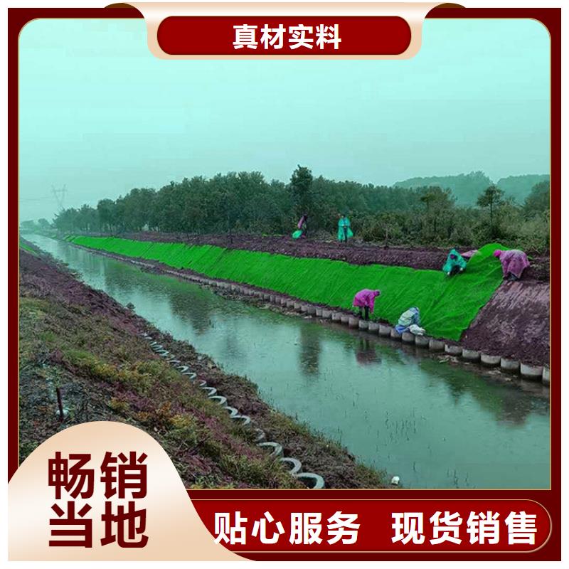 【三维植被网】,塑料盲沟专业生产团队 中齐建材(遂宁市分公司)