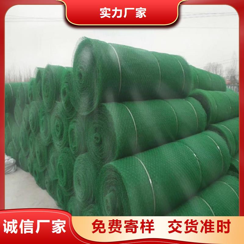 三维植被网双向土工格栅产地批发
