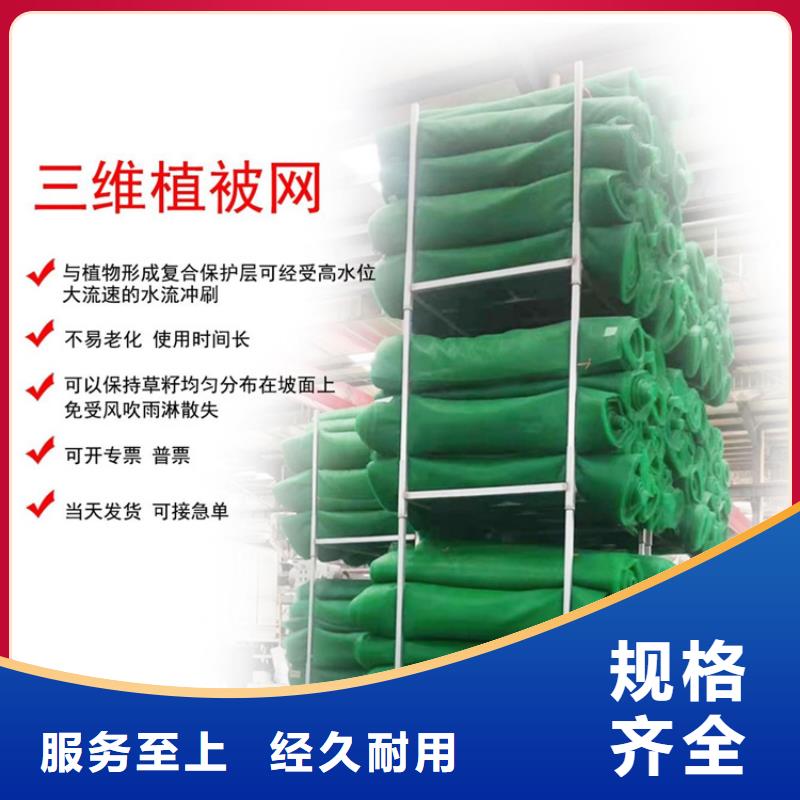 三维护坡植草网垫价格低