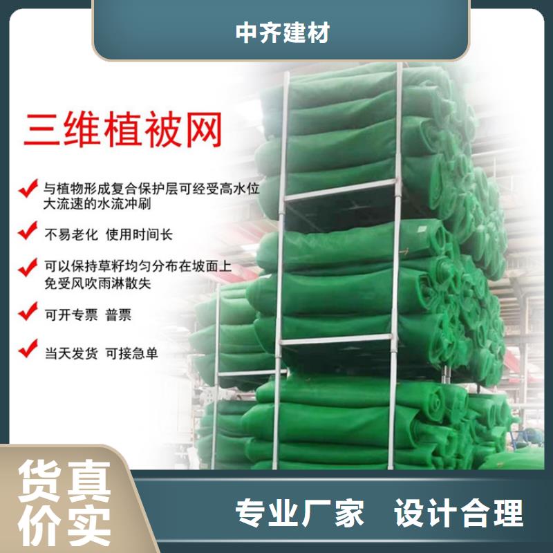 三维植被网土工膜专注产品质量与服务