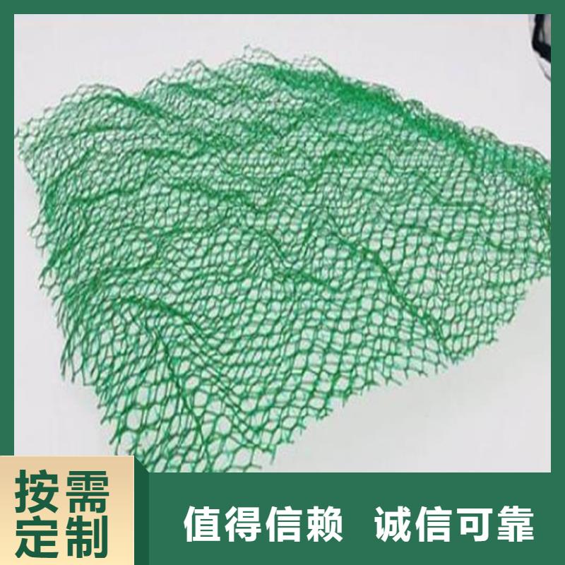 三維護坡加筋網墊產品介紹