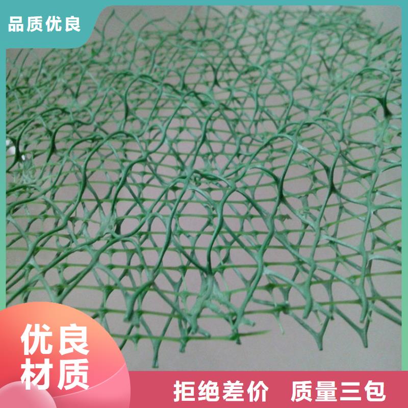 【三维植被网】 防渗膜实力商家供货稳定由中齐为您