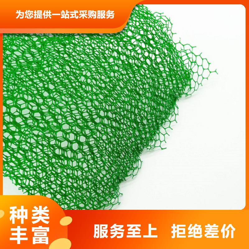 |大英|蓬溪|绵阳|甘孜|南充|成都|宜宾|资阳|广元中齐【三维植被网】,塑料盲沟专业生产团队