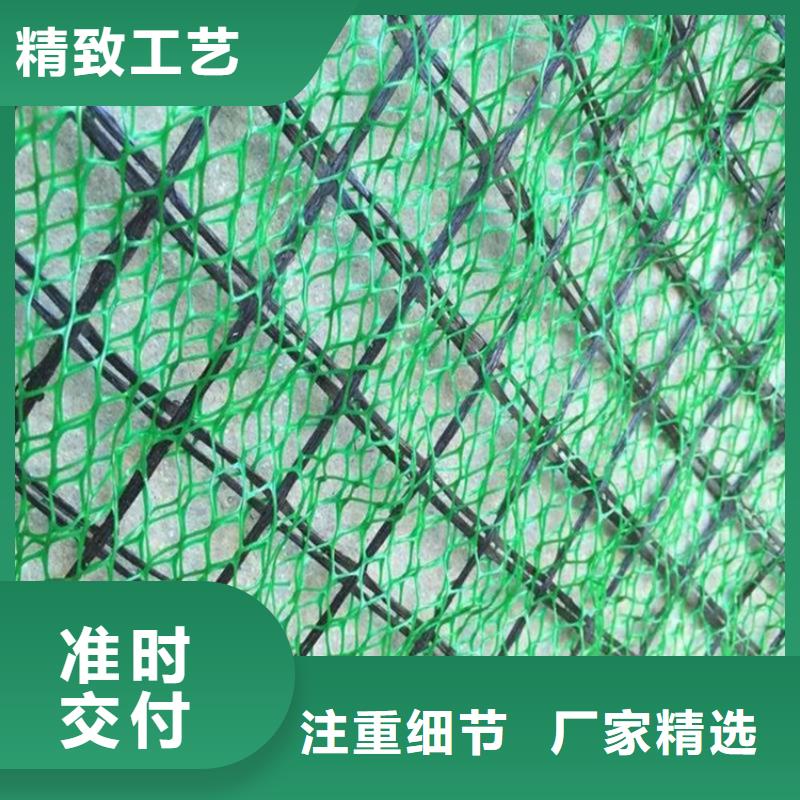 三维植被网-土工格室源头厂家经验丰富