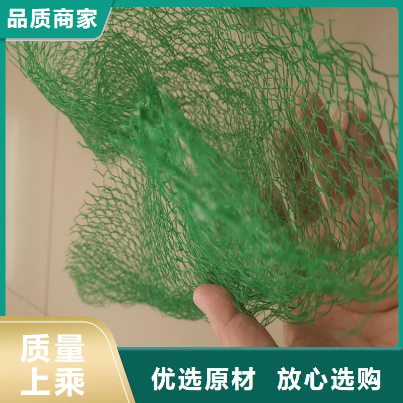 护坡塑料三维固土网垫