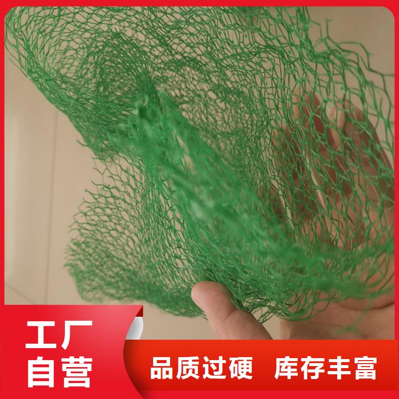 三维植被网-土工格室源头厂家经验丰富
