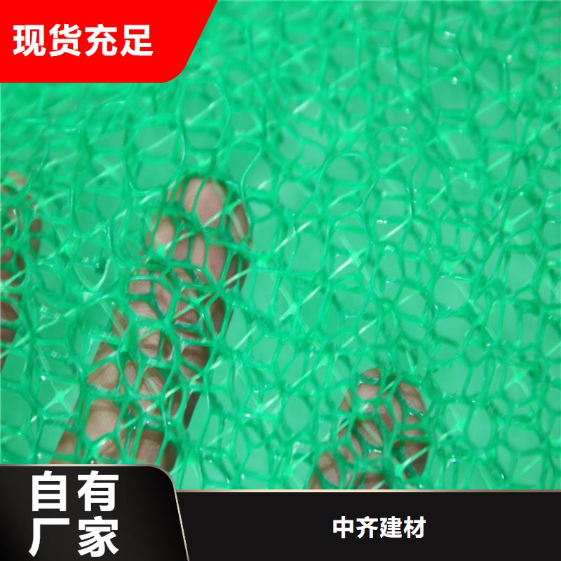 三维植被网排水板优质货源