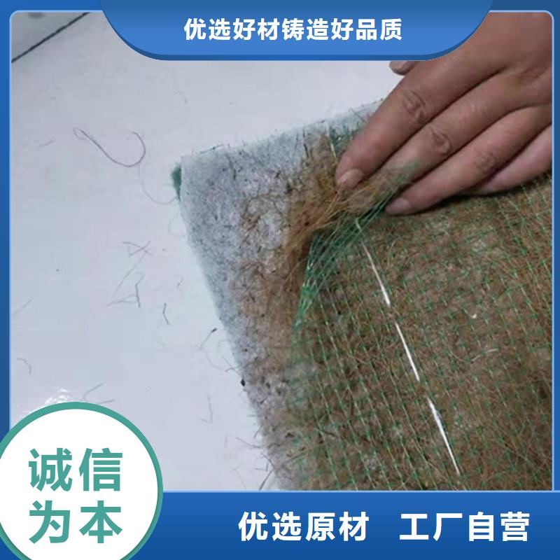 护坡植被植草毯-加筋抗冲生态毯