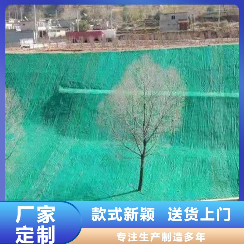 椰纤植生毯为您介绍