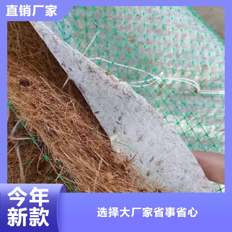 椰纤植生毯-加筋抗冲生态毯-PP加筋椰丝毯