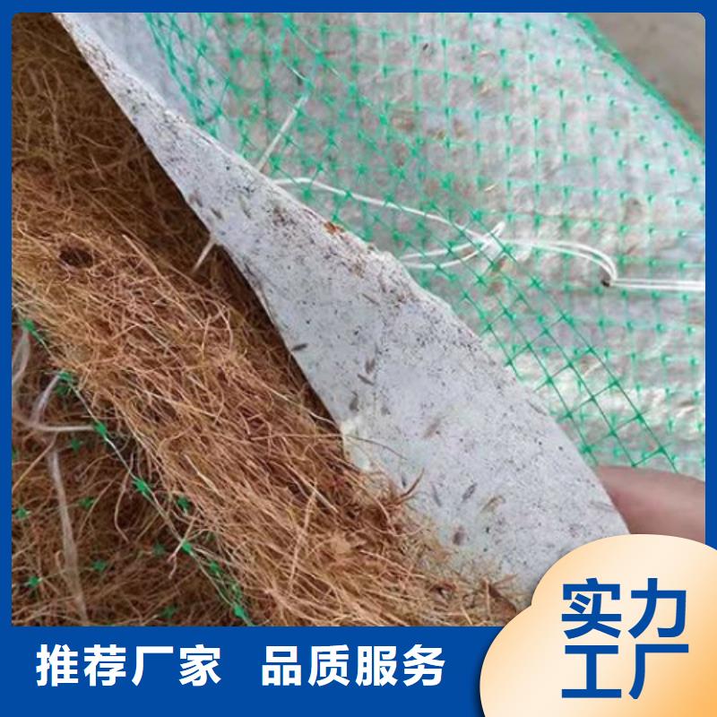 植物纤维毯-加筋抗冲生物毯特点