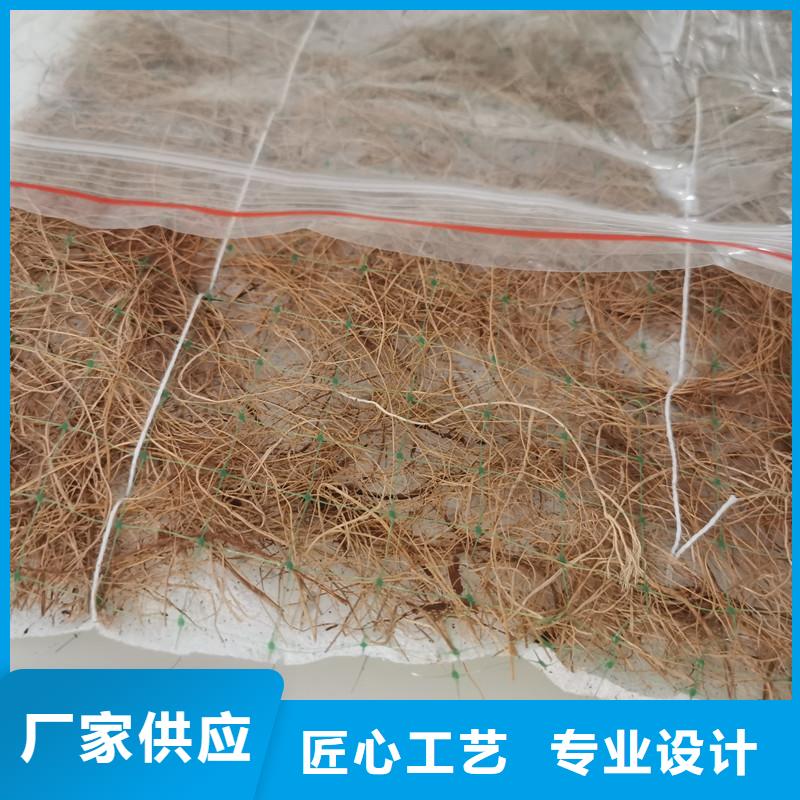 植生椰丝毯-加筋抗冲生物毯