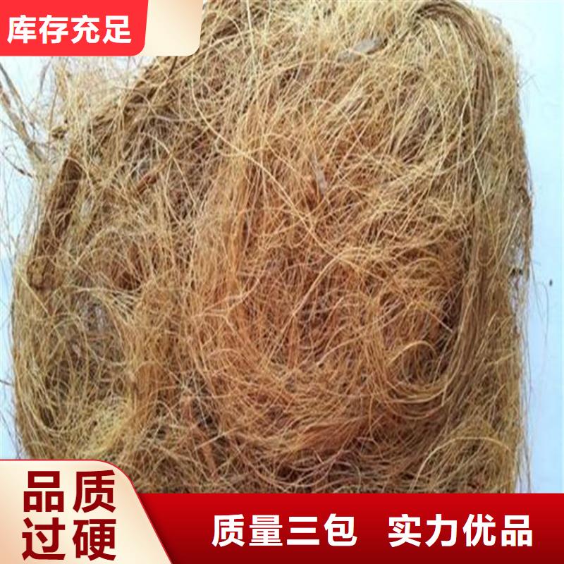 昌江县植物生态防护毯-椰丝植被毯