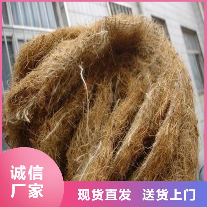 椰絲毯土工布無中間商廠家直銷