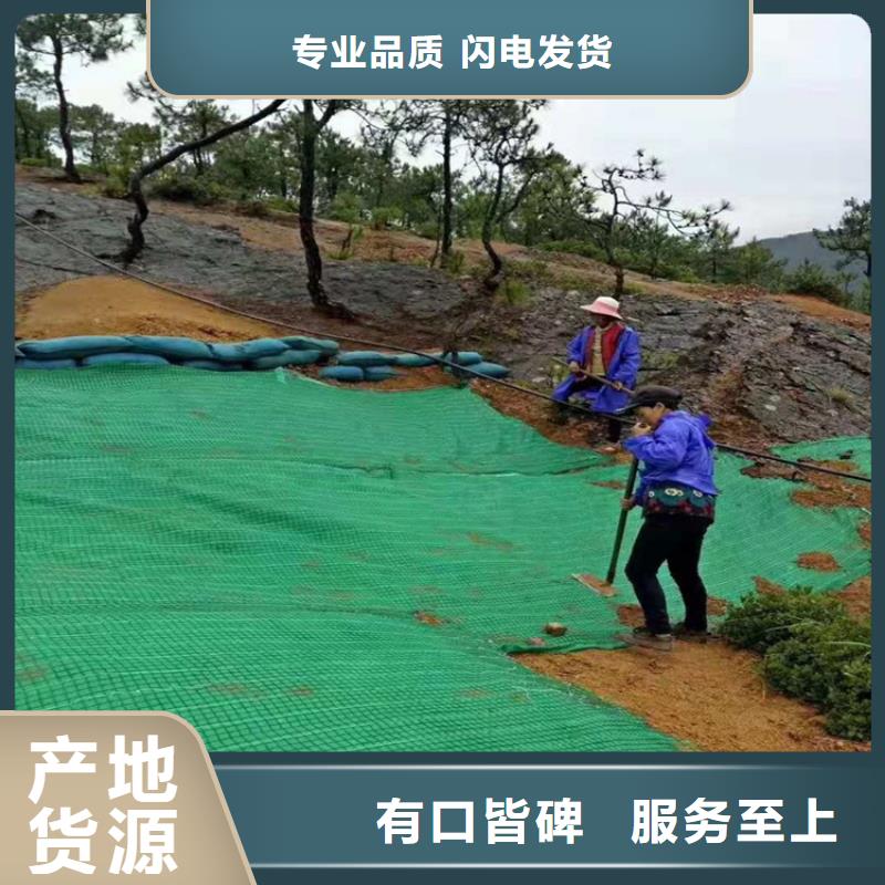 椰纤植生毯-加筋抗冲生物毯采购价格