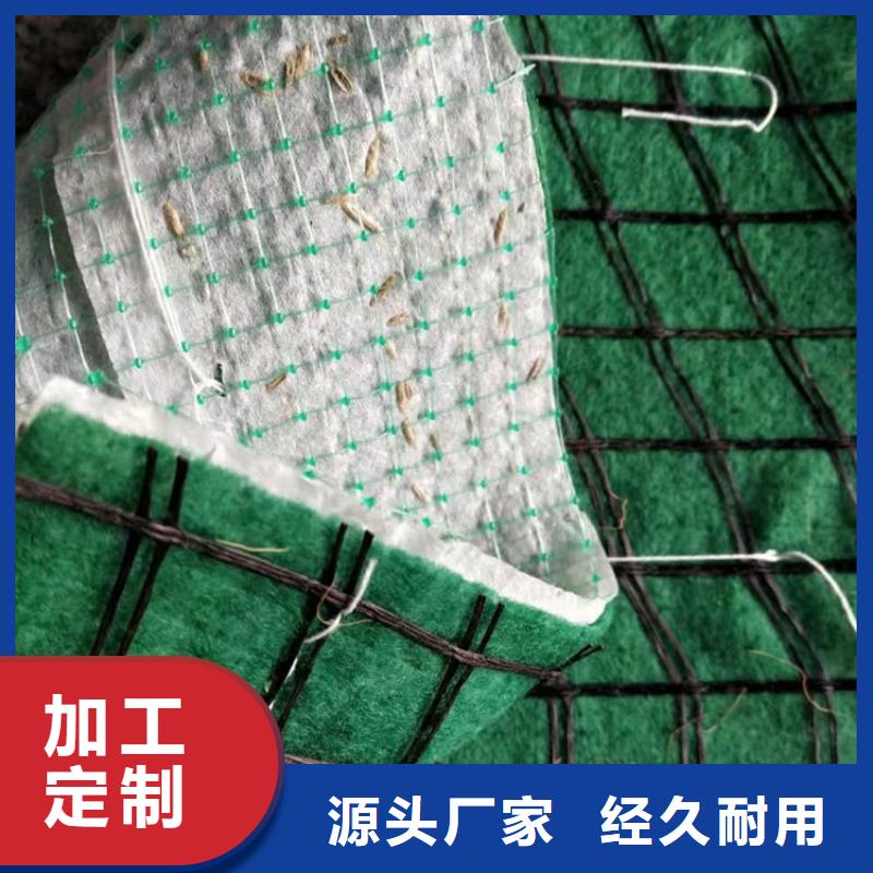 椰丝毯拉筋带精工打造