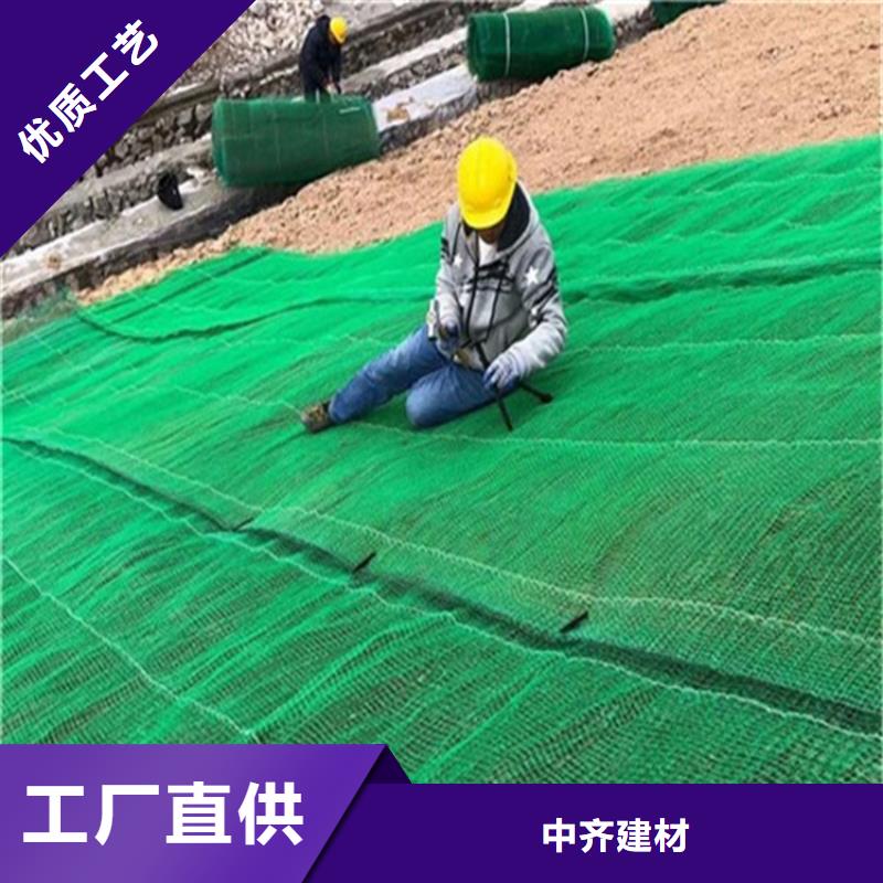 植生椰丝毯-加筋抗冲生物毯