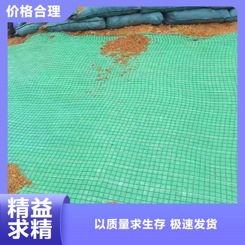 植生椰丝毯-加筋抗冲生物毯-水保椰丝毯