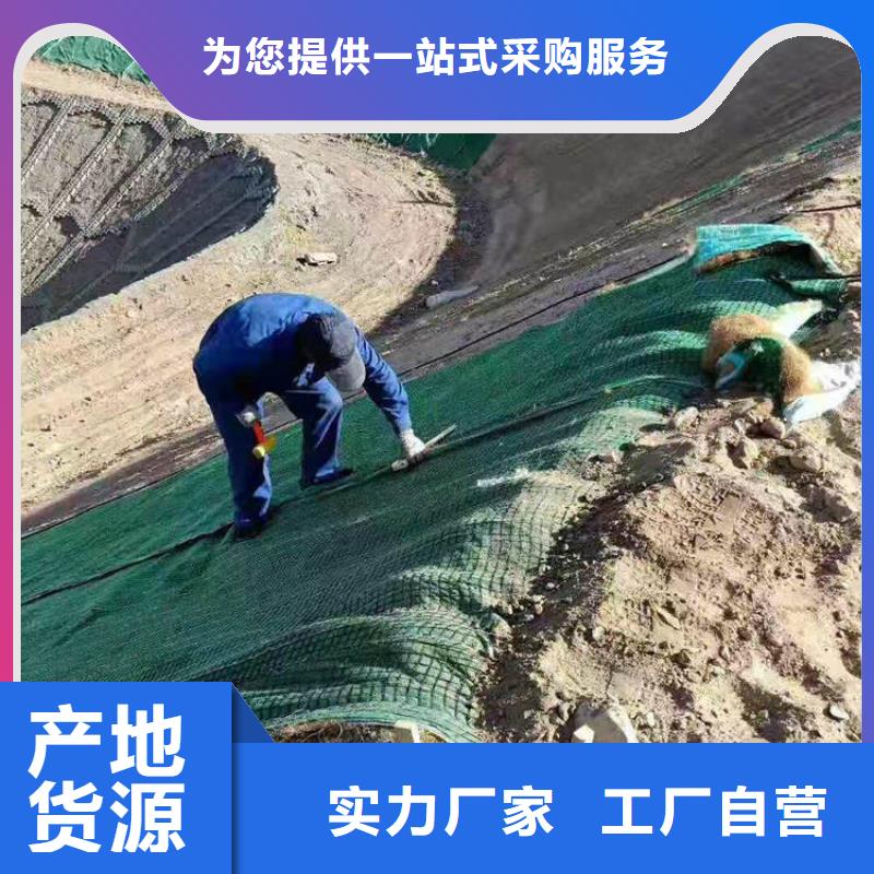 加筋抗冲生物毯市场