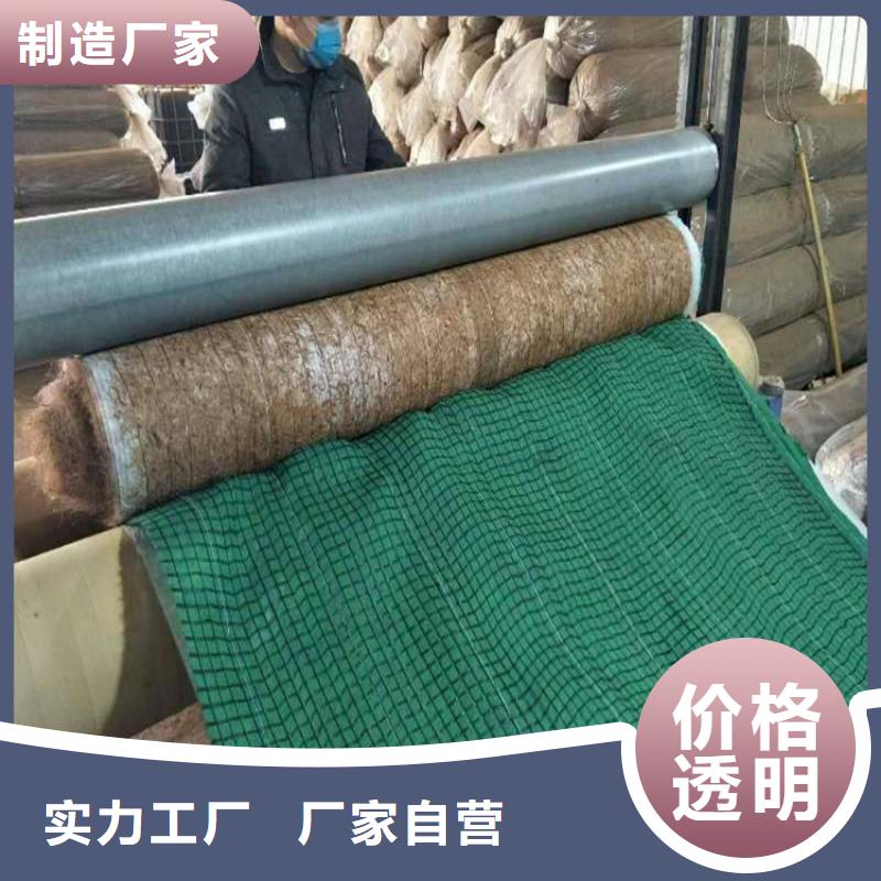 植生椰丝毯-加筋抗冲生态毯