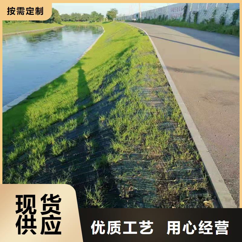 椰丝毯-土工布质检合格发货