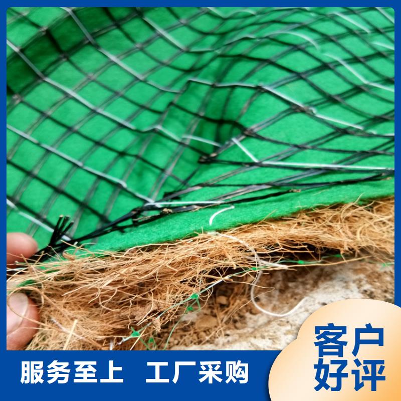 椰丝毯土工布货真价实