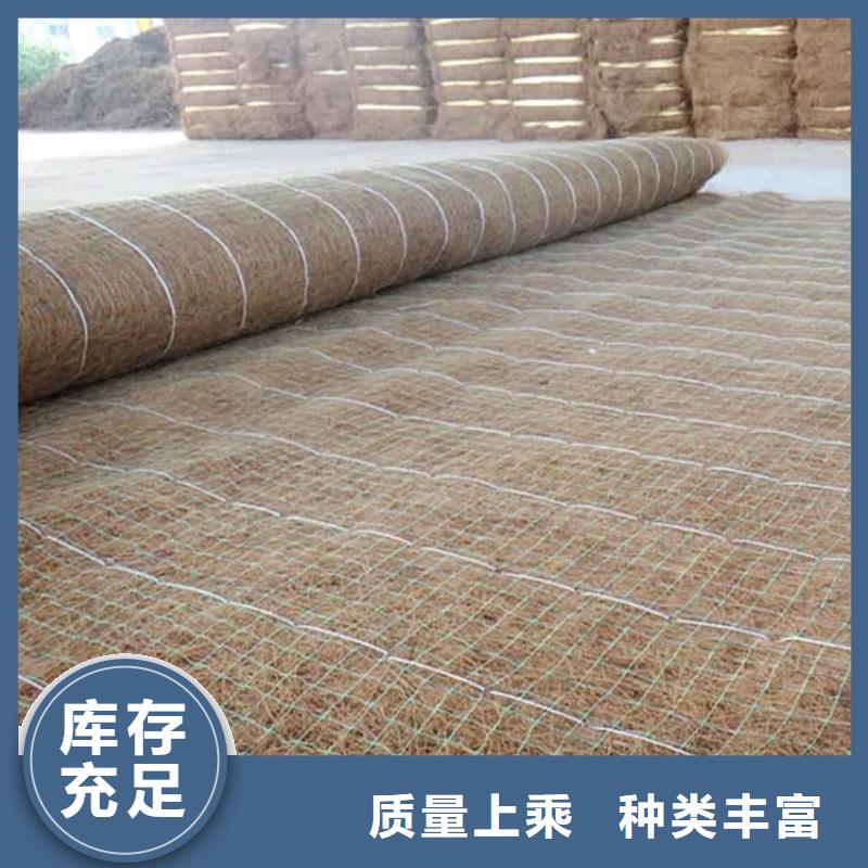 植生椰丝毯-加筋抗冲生物毯设计