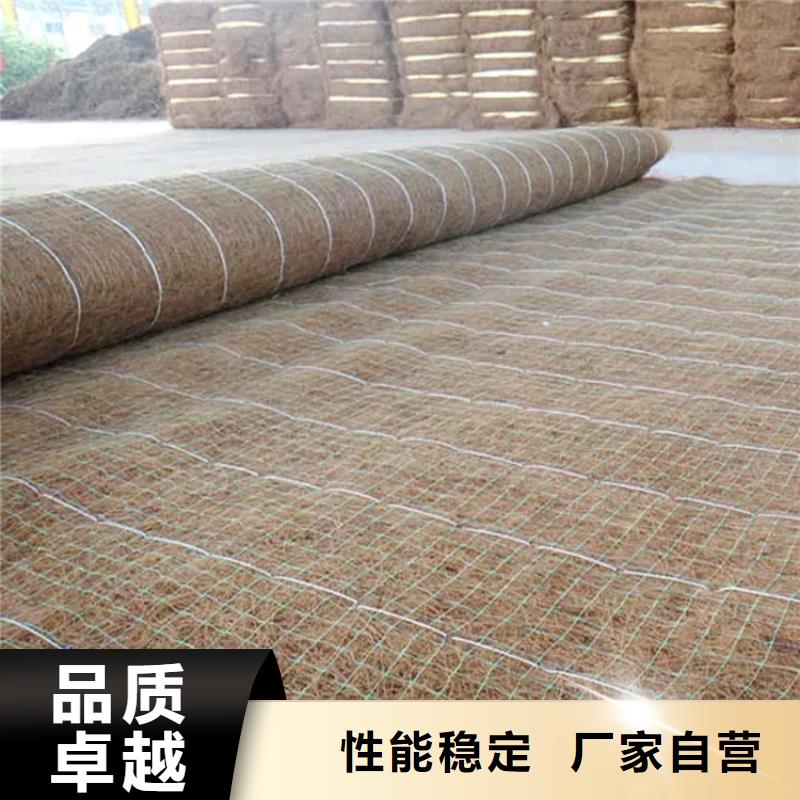 加筋抗冲生态毯-植物生态防护毯-抗冲植物毯