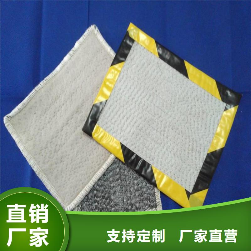 【 膨润土防水毯通风降噪丝网通过检测】中齐防渗膜
