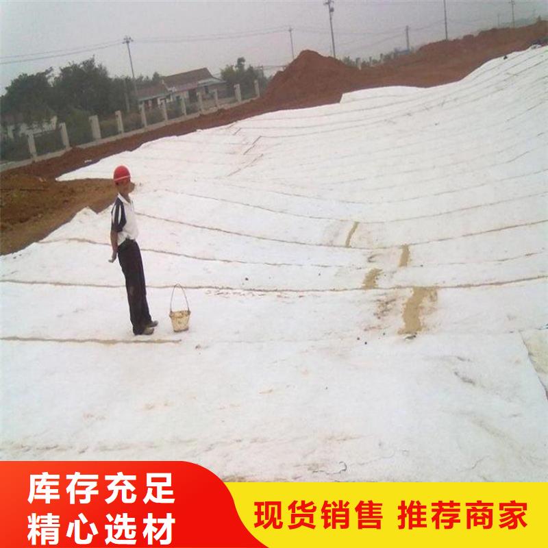 膨潤土防水毯HDPE土工膜口碑好實力強