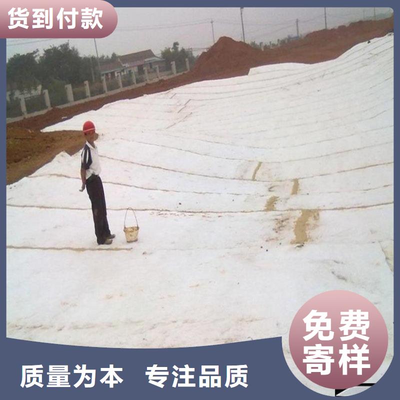 防渗膜-视频-通辽市防渗膜-(本地)可服务区域阿拉善|赤峰|呼和浩特|乌兰察布|乌海